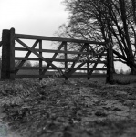 Castle Howard, Gate